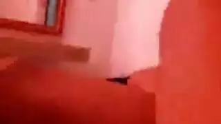 كلاب ينيك نسا ء