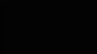 شروكيات