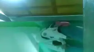 إباحية العودة للمدرسة: طالب ينيك زميلته في بقعة سرية