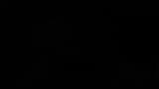 دب قصير