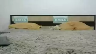 مسجل منزلياً