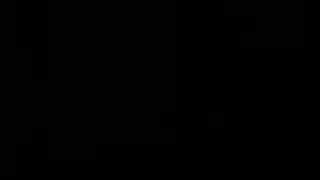 فليك