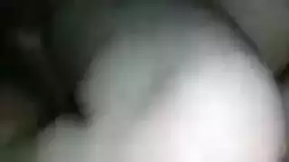 نيج جيس بعير