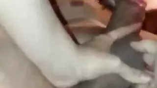 راجل بيشتم ويضرب الست