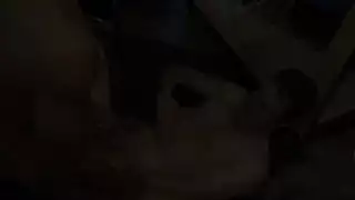 صاحبه المنزل لصوص زنوج