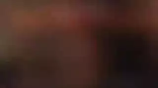 جوارب شبكة نيك