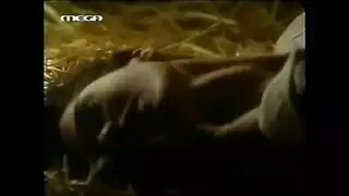 الممثلة تامانا تُمارس الجنس بحماس في مشهد ساخن