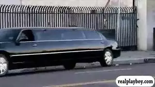 احتفال النكاح الجماعي: عاهرات تشارك أزباراً صلبة ضخمة وتئن بصوت عال