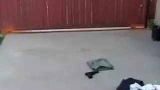 زب كبير مص بنت تحب زب كبيرزب كبير فشخ