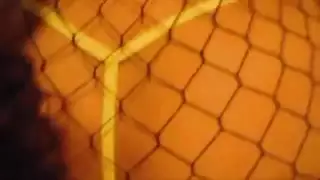 أبوي فارسي يقدم فعل غير مختون