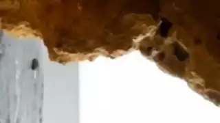 بورن كهف في الخارج: مص عميق لقضيب صلب حتى النهاية