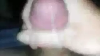 الفرع التنفيذي يُملأ بنائب رئيس ضخم العضو
