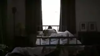 زيتونه العراق مع الناىب