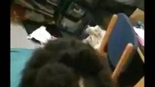 ثنائي مثليات شقراء يتحول من مص قضيب إلى دسار