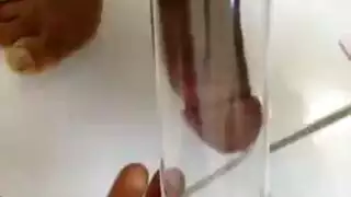 نوبيل بورن