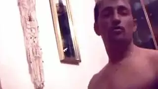 تزاوج حمار حسان انثي