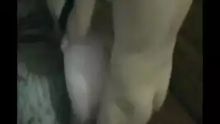 صور سكس فنانات عرب