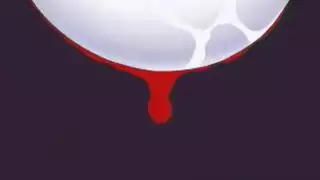 جنس صريح في كل وضع