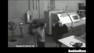 سمراء ساخنة تلعق كس شقراء بشغف حتى تئن