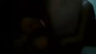 نيك كلاب اسيويين