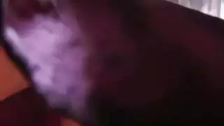 الشيءالشيء