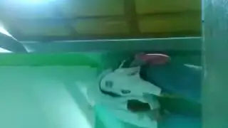 طالب جامد: نيك زميلي على حائط الطوب