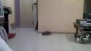تحميل فيلم منعطف خاطئ جزء ٤
