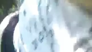 مشهد سحاقي: روسية مثيرة على ركبتيها تمص قضيبًا ضخمًا