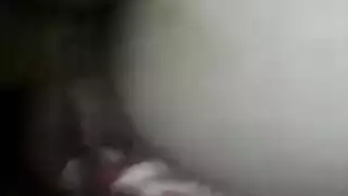 عرب فوكسv6l77z75gj8f