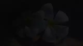شباب خارجون عن السيطرة: ممارسة جنسية مثلية شديدة