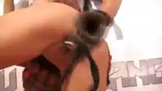 هاردكور مضحك: مهرجان نيك كوميدي إباحي