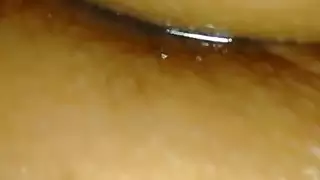 مصاصين دماءسكس