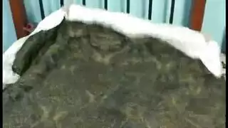 تدليك الأنسجة العميقة يؤدي لقذف عميق داخل لوسي