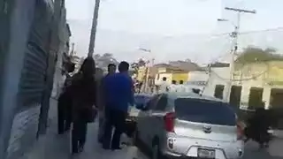 فاتنة الحمار الكبيرة، هافن الثلاثي