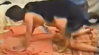 سكس حيوانات خنزير ينيك بنات بكل الاوضاع