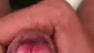 سعيد الحظ الديك ضخمة تجرؤ
