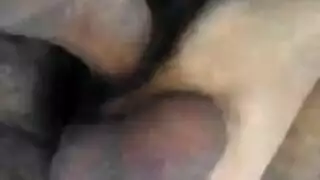 زب اسواد غليظ مترجم عربية