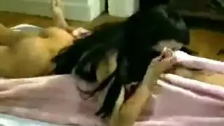 لبن البزول