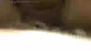 بزاز نسائية صور