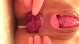 مظيفة الطيران المصرية