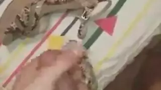 نجمتنا البرازيلية الإباحية تكشف بظرها المنتفخ