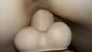 شاف اهلو بنيكو