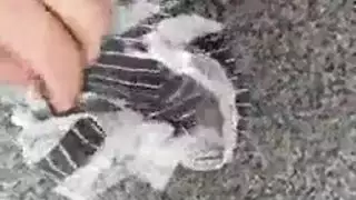 الزوجة الشقراء القذرة تفتح ساقيها من أجل جنس جماعي في الخارج