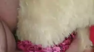 تايوانية لسان الثدي الصغيرة