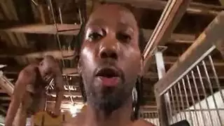 ديوث حكي بناني