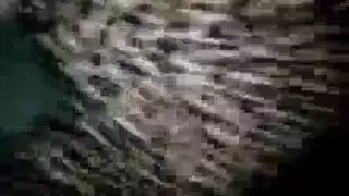 مراهقات شقراوات تركب أستاذهن لمشهد إباحي صريح