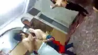 شراميط مصريه في بيت الدعارة