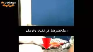 سكس مصري بتتعلم من الوجع وبتصرخ قوي وتقول وحوش سكس مصري