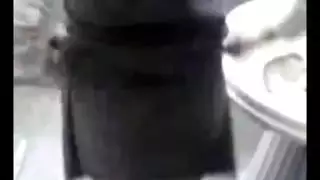 فيلم الجنس العربي