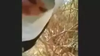 هير لايميت
